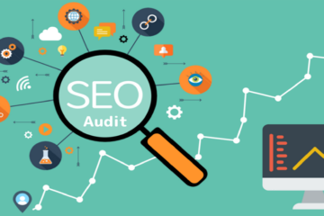 SEO Audit.