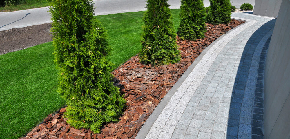 Landscape Design Solutions